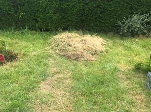 Windsor and Maidenhead council is getting on top of grass overgrowths, it says