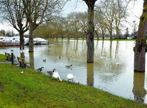 Royal borough councillor questions delivery of £10m pledge for flood alleviation